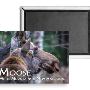 7708 - White Mountain Moose Magnet