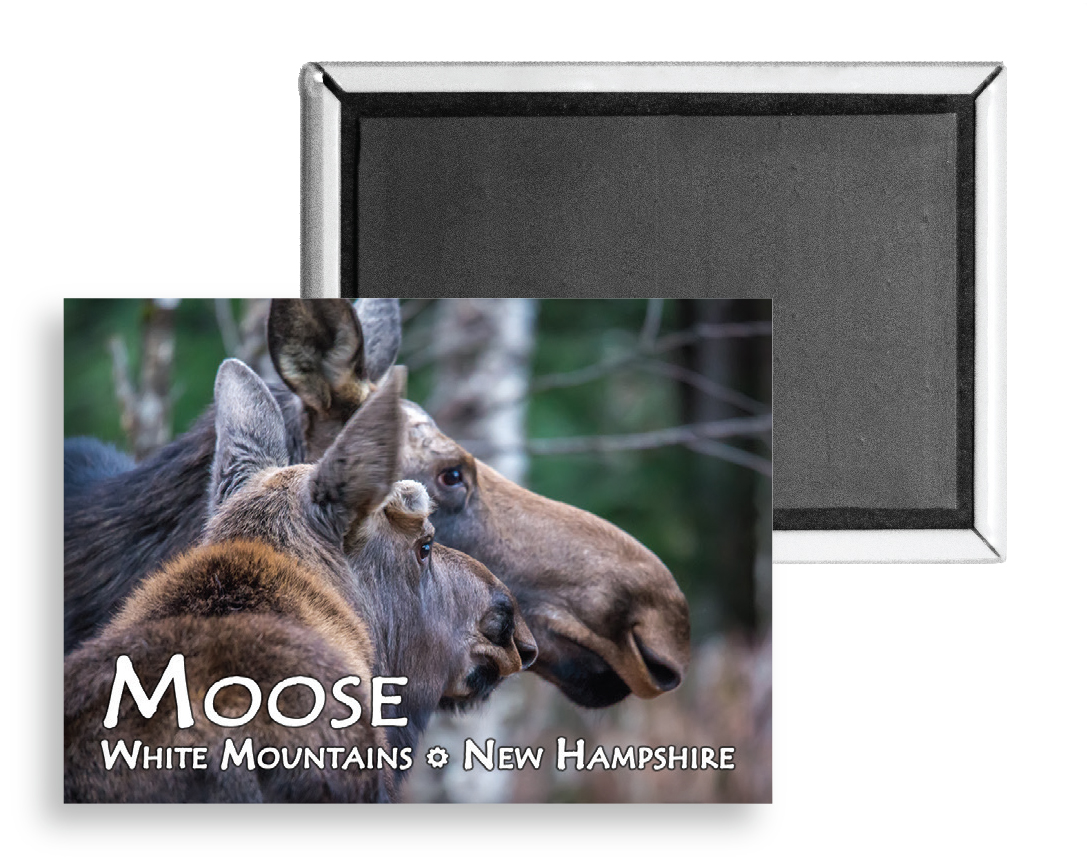 7708 - White Mountain Moose Magnet