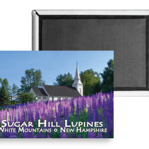 7716 - Lupine Church Magnet