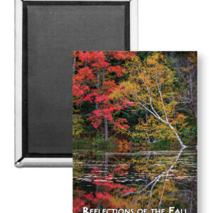 7726 - Reflections of the Fall Magnet