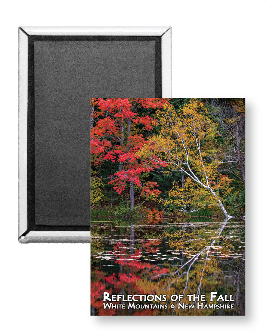 7726 - Reflections of the Fall Magnet