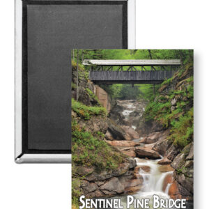 7728 - Sentinel Pine Bridge Magnet