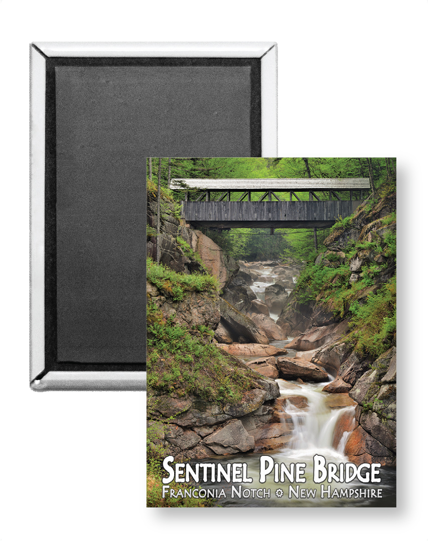 7728 - Sentinel Pine Bridge Magnet