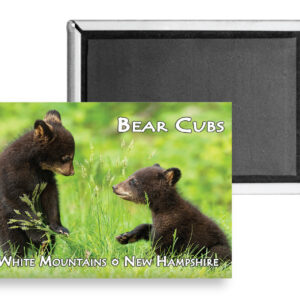 7735 - Black Bear Cubs Magnet
