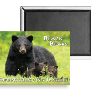7736 - Black Bear Family Magnet