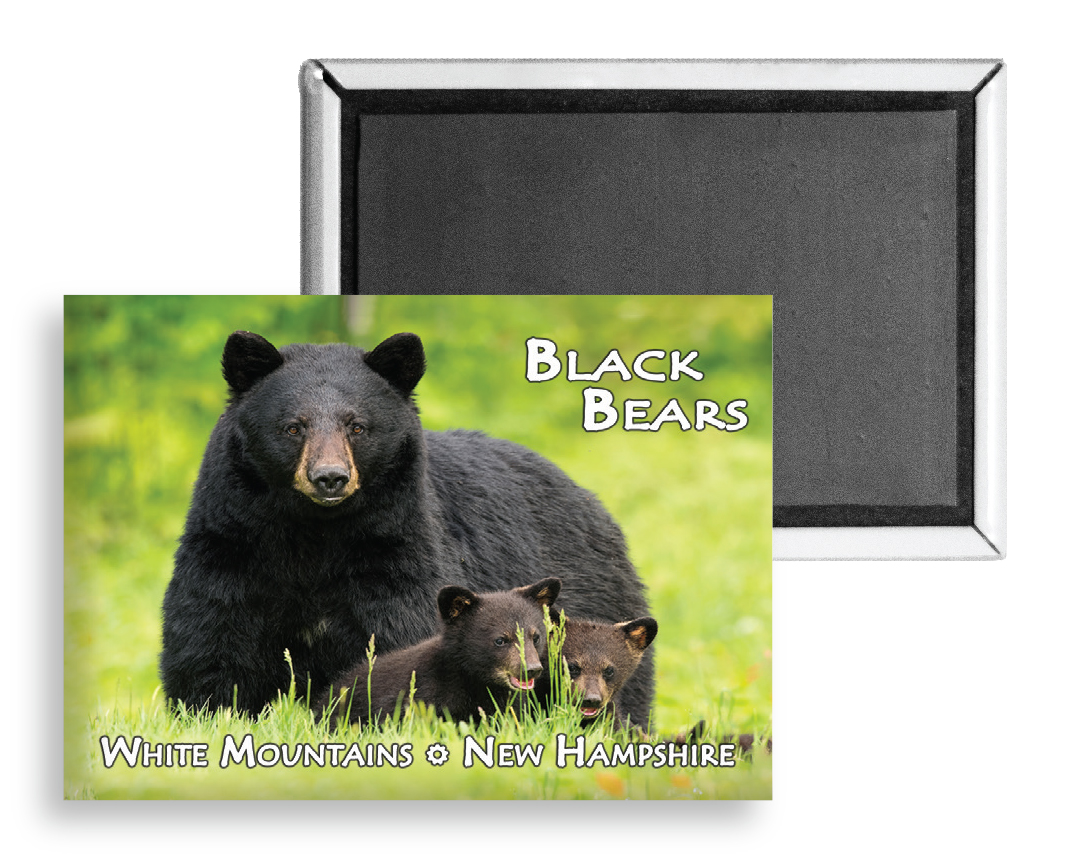 7736 - Black Bear Family Magnet