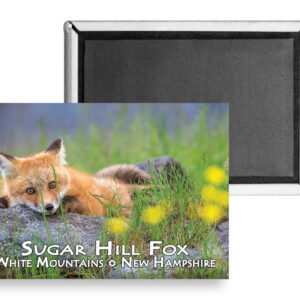 7738 - Sugar Hill Fox Magnet