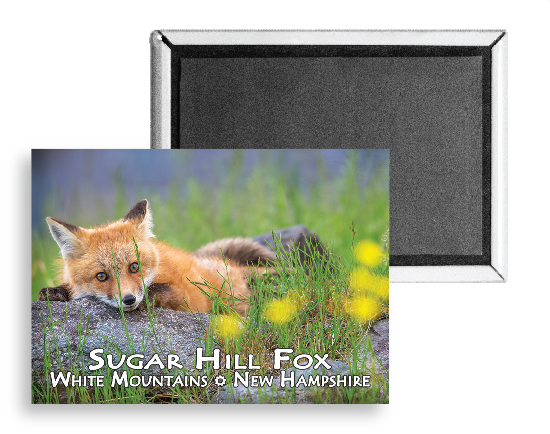 7738 - Sugar Hill Fox Magnet