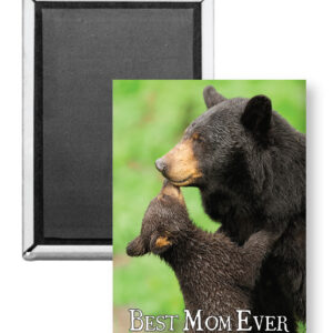 7739 - Best Mom Bear Magnet