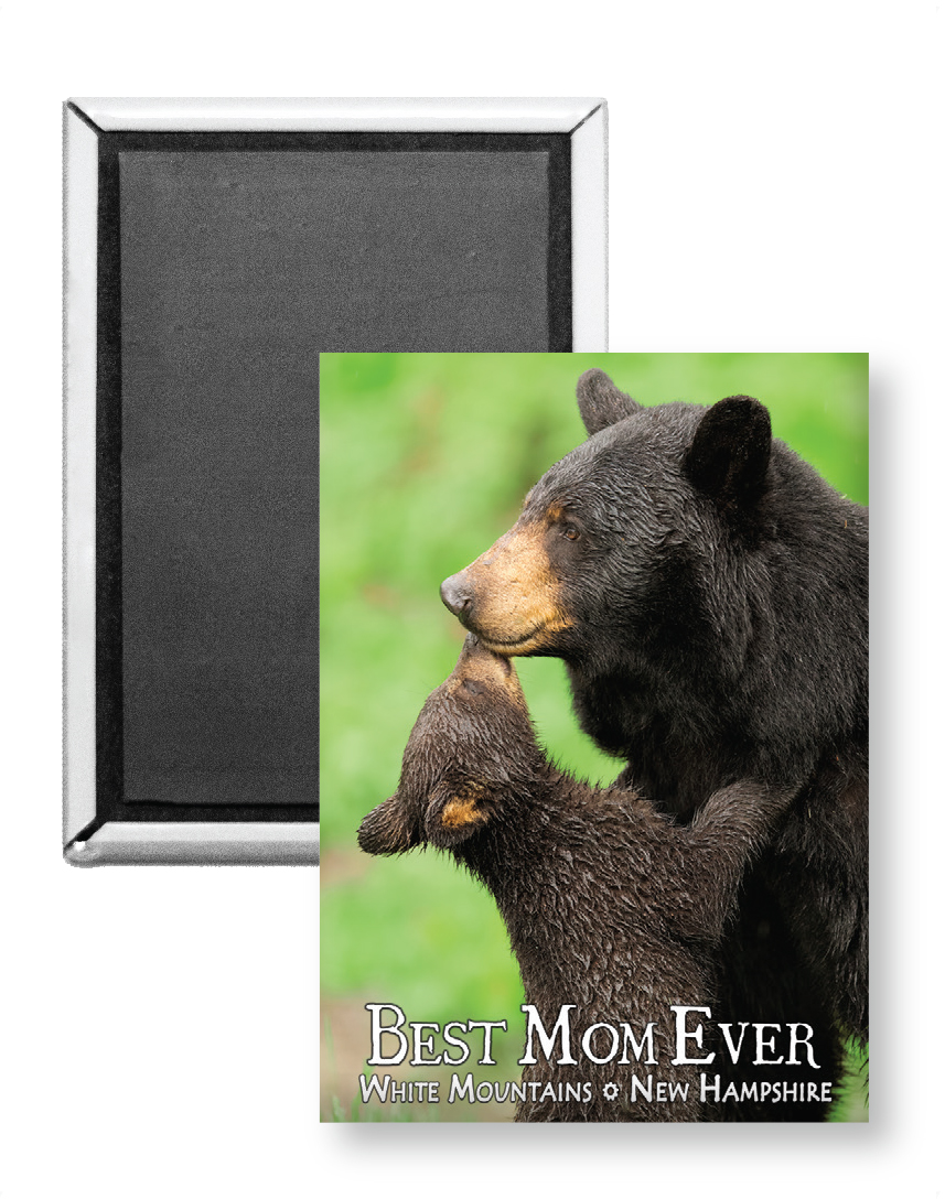 7739 - Best Mom Bear Magnet