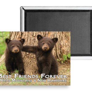 7740 - Best Friends Forever Bears Magnet