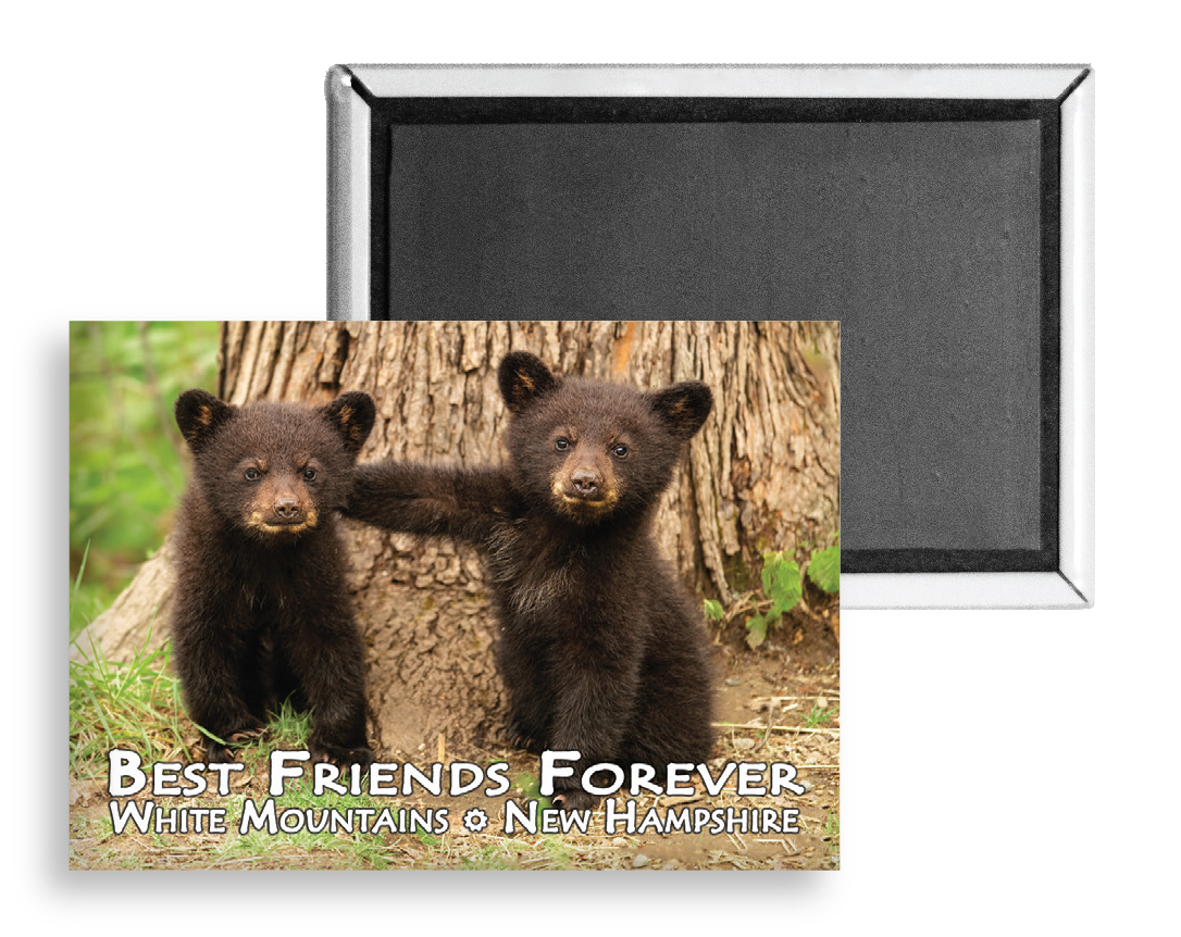 7740 - Best Friends Forever Bears Magnet