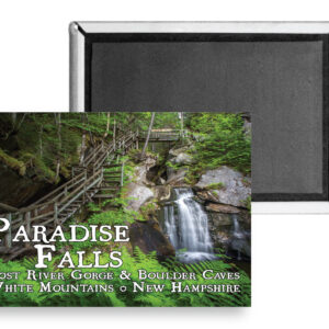 7741 - Paradise Falls Lost River Magnet