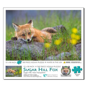 5007 Sugar Hill Fox Puzzle