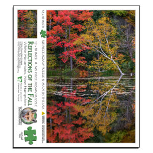 5017 Reflections of the Fall Puzzle