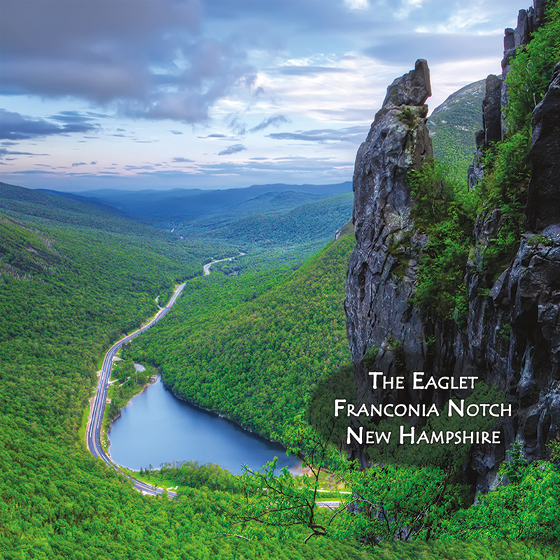 7524 - Eaglet Franconia Notch Square Magnet