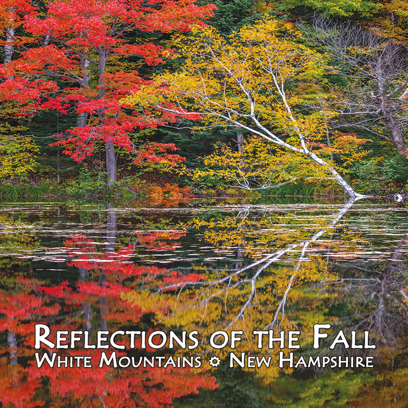 7526 - Reflections of the Fall Square Magnet