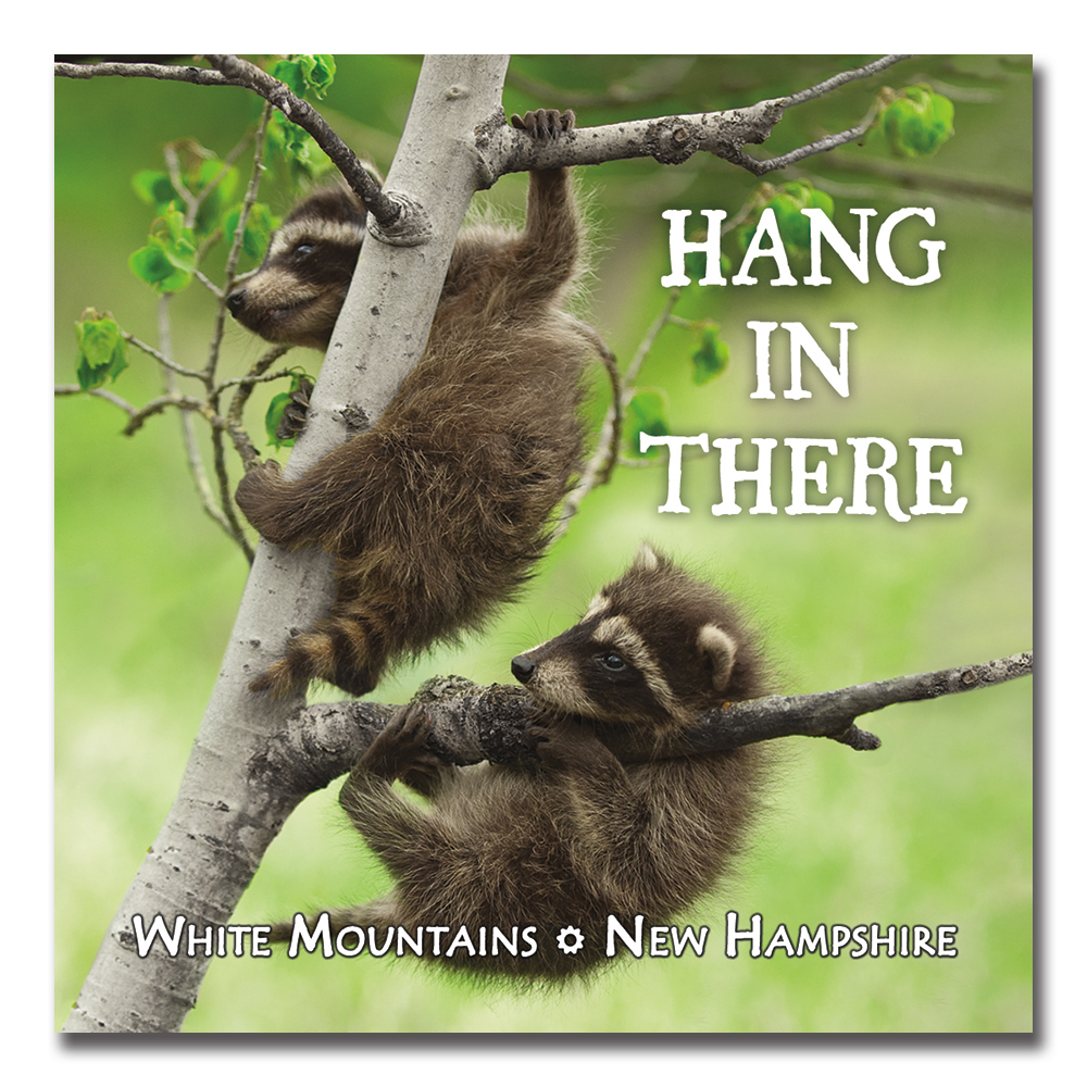 7564 - Hang In There Square Magnet