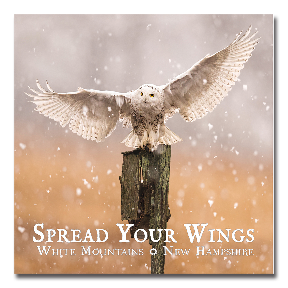 7565 - Spread Your Wings Square Magnet