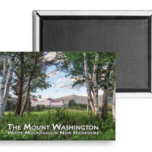 7753 Omni Through the Birches Magnet