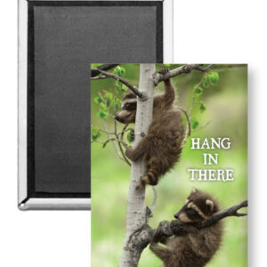 7764 - Hang in There Raccoon Magnet