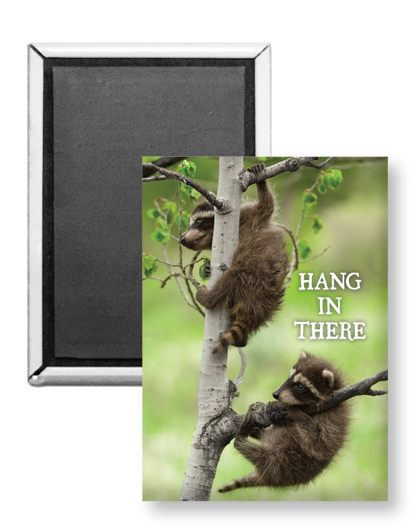 7764 - Hang in There Raccoon Magnet