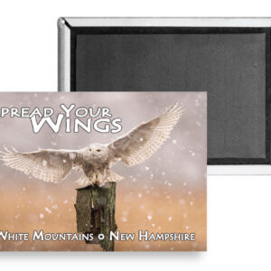 7765 - Spread Your Wings Magnet