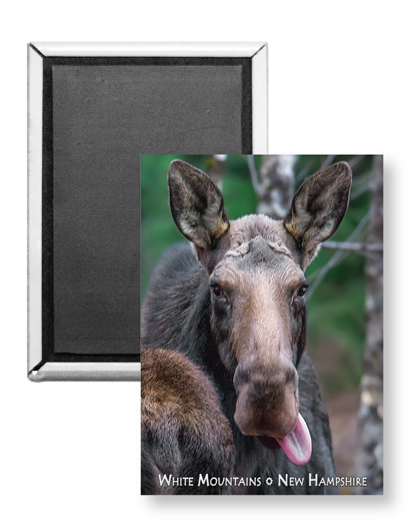 7806 - Moose Lick Magnet