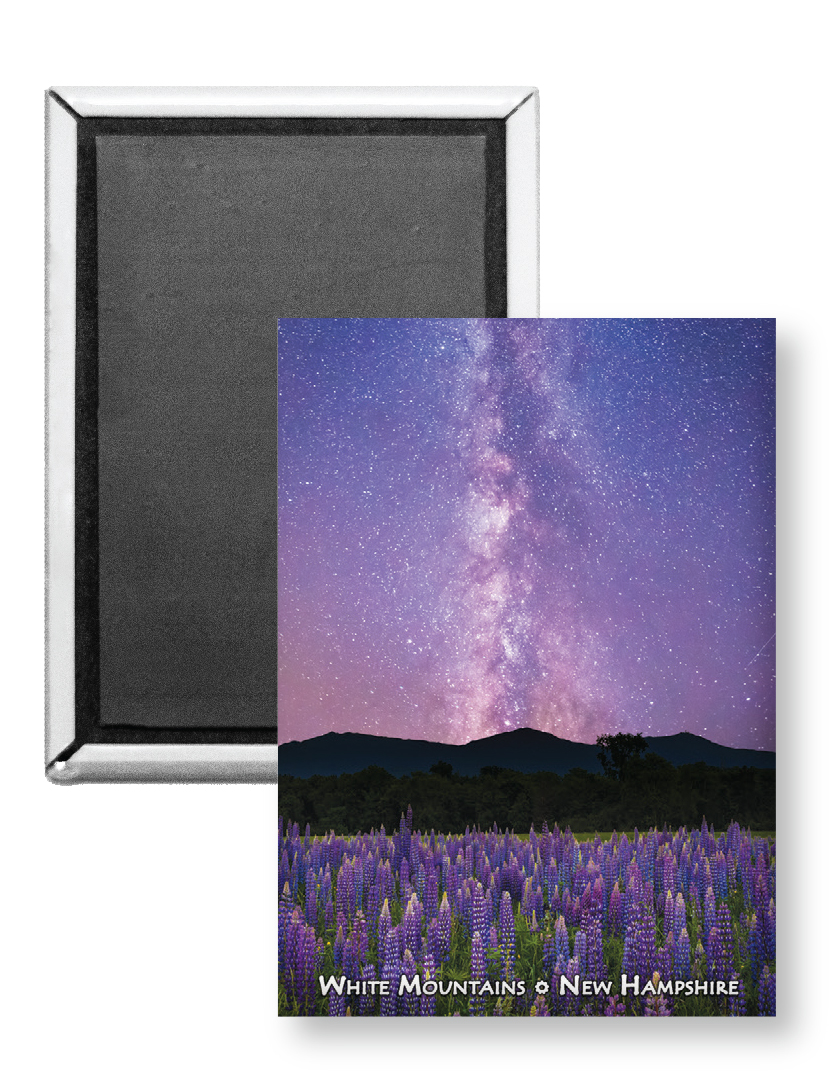 7808 - Lupine Field Milky Way Magnet