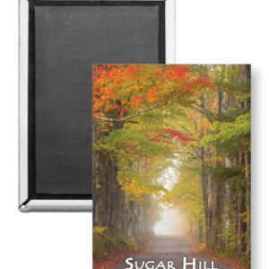 7809 - Sugar Hill Misty Autumn Road Magnet
