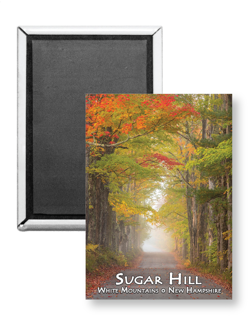 7809 - Sugar Hill Misty Autumn Road Magnet