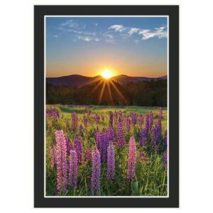 Matted or Framed Autographed Prints