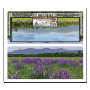 40007 - Panorama Card - Presidential Lupine Field