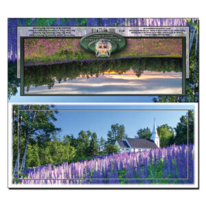 4013 - Panorama Card - Lupine Church