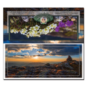 4015 - Panorama Card - Mount Monroe Spring Sunset