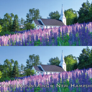 6001 Sugar Hill Lupine Church Bookmark