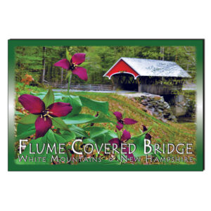 9184 - Postcard - Flume Covered Bridge Trillium