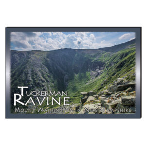 9187 - Postcard - Tuckerman Ravine Summer