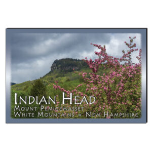 9188 - Postcard - Indian Head Spring