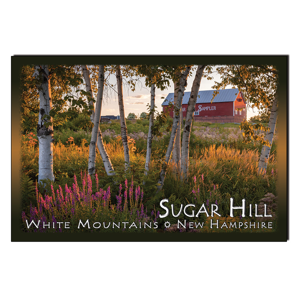 9196 - Postcard - Sugar Hill Sampler