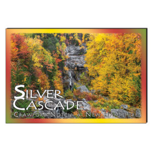 9210 - Silver Cascade Autumn - Postcard