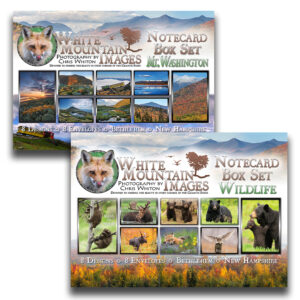 Notecard Box Sets