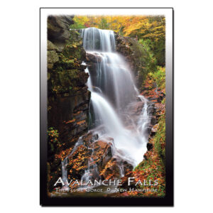 9098 - Postcard - Avalanche Falls Autumn