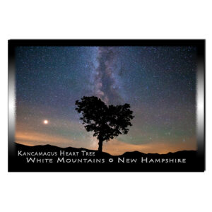 9100-W - Postcard - Milky Way Heart Tree