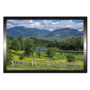 9110 - Postcard - Sugar Hill Spring