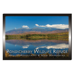 9113 - Postcard - Pondicherry