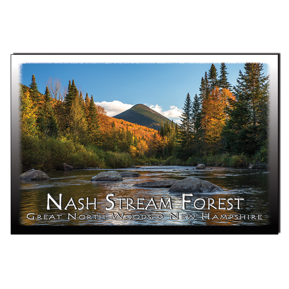 9117 - Postcard - Nash Stream Forest