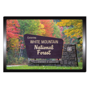 9118 - Postcard - WMNF Autumn Sign