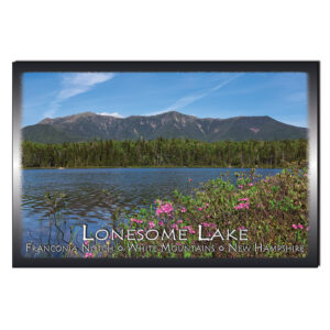 9122 - Postcard - Lonesome Lake
