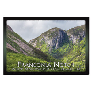 9123 - Postcard - Franconia Notch Spring